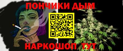 крисы Гай