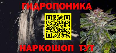 прущая мука Гатчина