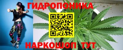 прущая мука Гатчина