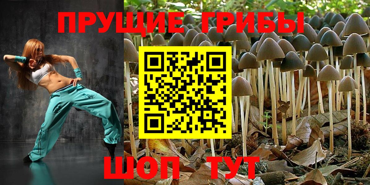 Псилоцибиновые грибы Cubensis Нижневартовск