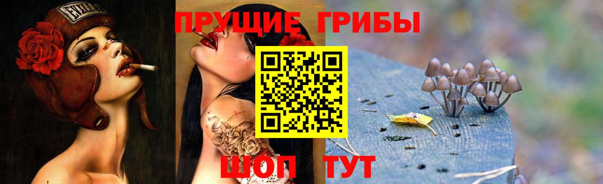 Галлюциногенные грибы MAGIC MUSHROOMS  Псилоцибиновые грибы Psilocybine cubensis  Нижневартовск  Вход с VPN 